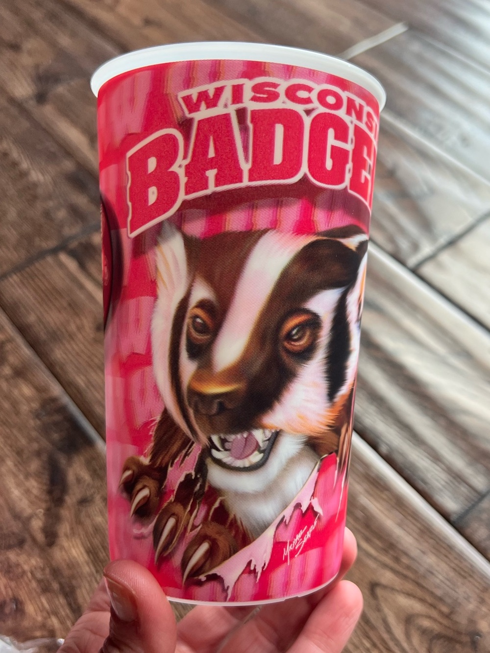 Wisconsin Badger Holographic Cup Set